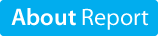 About Report